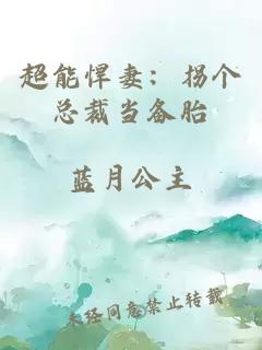 超能悍妻：拐个总裁当备胎