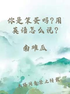 你是笨蛋吗?用英语怎么说?