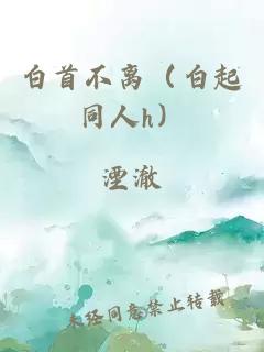 白首不离（白起同人h）