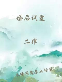 婚后试爱