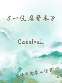 《一枝扇骨木》