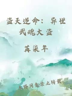 盗天逆命：异世武魂大盗
